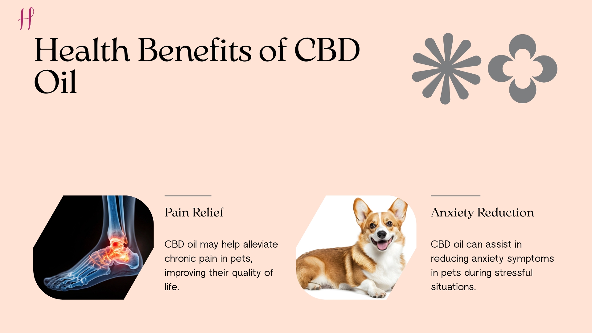 Health Benifits of CBD oil